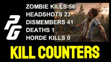 PGz HUD Counters